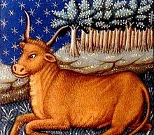 Thứ Năm của bạn: Kim Ngưu rủng rỉnh, Cự Giải bất cần