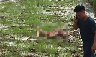 Hiện trường vụ việc.