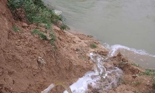 Xử phạt trang trại nuôi heo ở Thanh Hóa hơn 440 triệu đồng