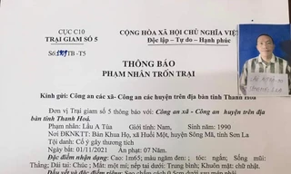 Cảnh sát truy tìm phạm nhân bỏ trốn khi lao động