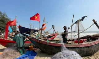 Nắng ấm ngày mùng 4 Tết, ngư dân Thanh Hoá hào hứng đón 'lộc biển' đầu năm