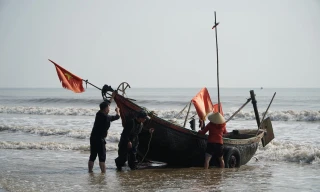 Lực lượng chức năng tỉnh Thanh Hoá tăng cường kiểm tra, kiểm soát hoạt động khai thác thuỷ hải sản, xử lý nghiêm vi phạm chống khai thác IUU. Ảnh minh hoạ.