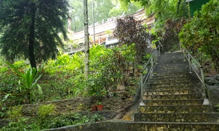 TP Thanh Hóa xin thí điểm xe bốn bánh chạy năng lượng điện ở điểm du lịch