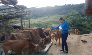 Thanh Hóa: Hiệu quả từ những chính sách hỗ trợ cho vùng đồng bào dân tộc thiểu số