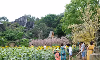 Các điểm du lịch, vui chơi ở trung tâm TP Thanh Hoá hút khách