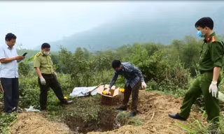 Tiêu huỷ 32 cá thể động vật rừng, xử phạt gần 50 triệu đồng
