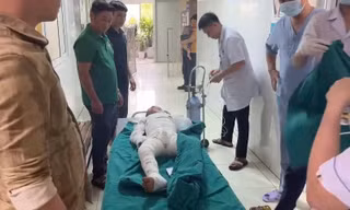 Sử dụng xăng để đốt diệt kiến, hai anh em bỏng nặng