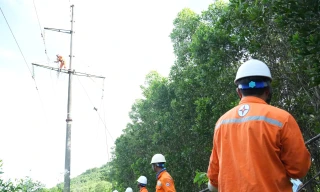 Thanh Hóa: Khai thác cây keo bị đổ vào đường dây gây cháy, chập điện