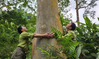Thanh Hóa có thêm một Vườn quốc gia