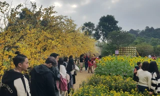 Thanh Hoá: Các danh thắng thu hút du khách ngày đầu năm