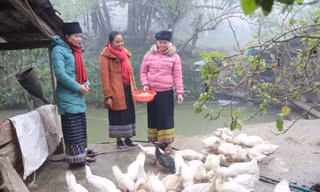 Giúp người dân vùng biên thoát nghèo