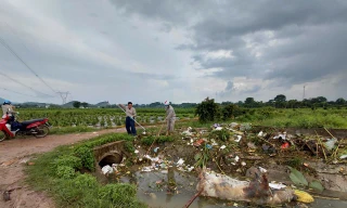 Công an vào cuộc xác minh, xử lý hành vi vứt xác động vật ra môi trường ở Thanh Hóa