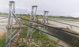 Một người tử vong, hàng loạt cột điện đổ gãy do giông, sét ở Thanh Hóa