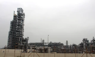 Nhiều doanh nghiệp, nhà máy tại Khu Kinh tế Nghi Sơn không nghỉ Tết