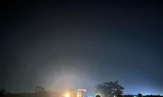 Người dân thu hoạch lúa xuyên đêm để tránh bão số 3