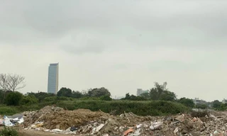 'Cấm cửa' 2 doanh nghiệp tham gia đấu thầu vì thiếu trung thực 