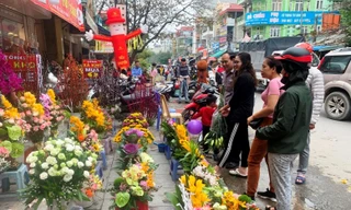 Hoa lạ, hoa giả được săn đón ở Thanh Hóa