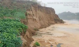 Đề nghị công an vào cuộc sau vụ sạt lở bờ sông Mã, yêu cầu tạm dừng khai thác 2 mỏ cát