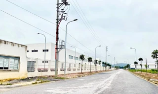 Thanh Hóa chỉ đạo xử lý doanh nghiệp có dấu hiệu gian lận hồ sơ thực hiện dự án