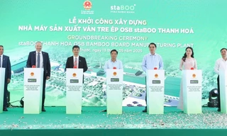 Xây nhà máy sản xuất ván tre ép gần 3.200 tỷ tại Thanh Hóa