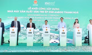 Xây nhà máy sản xuất ván tre ép gần 3.200 tỷ tại Thanh Hóa