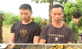 Diễn biến mới vụ mộ vua Lê Túc Tông ở Thanh Hóa bị đào bới