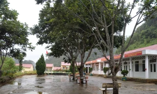 Thanh Hóa giải quyết việc thiếu giáo viên tiếng Anh, môn đặc thù thế nào?