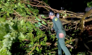 Tông vào cây gãy đổ chắn ngang đường ở Thanh Hóa, nam thanh niên tử vong