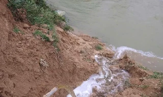 Một công ty bị phạt hơn 255 triệu đồng vì xả nước và khí thải vượt quy chuẩn