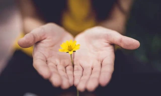 Sau biến cố lớn, lòng nhân ái và sự cảm thông cũng quan trọng như tính mạng vậy