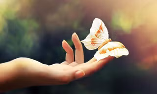 Trong rất nhiều bản-kế-hoạch cuộc đời, đã bao giờ em dành thời gian để nghĩ tới "Plan B"?