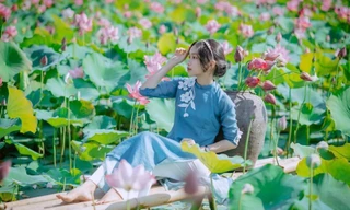 Quảng Trị: Sen hồng đang mùa nở rộ, bạn đã chụp bộ ảnh “sống ảo” nào chưa?