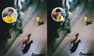 Nguyên dàn idol bị bò đuổi, thực hư meme "tấu hài" đang viral khắp fandom K-Pop này là gì?