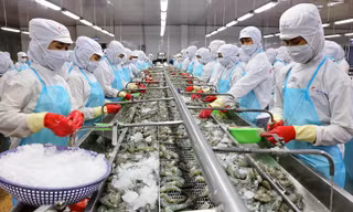 Thuỷ sản vượt khó, hồi phục ấn tượng trong năm 2021