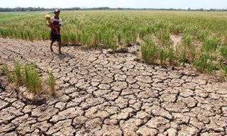 Thuỷ điện Cảnh Hồng của Trung Quốc giảm gần 50% lượng xả, ĐBSCL đối diện hạn mặn 