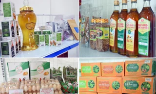 Hội chợ sản phẩm OCOP Việt Nam trên nền tảng số 