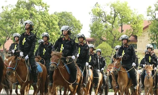 Đoàn CSCĐ Kỵ binh - Bộ Tư lệnh Cảnh sát cơ động 