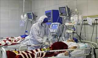 Ảnh minh họa: Internet