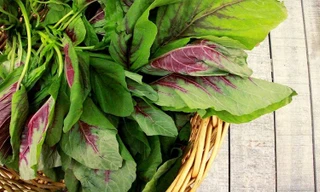 Ảnh minh họa: Internet