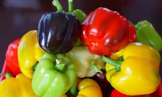 Ảnh minh họa: Internet