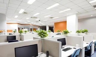 Ảnh minh họa: Internet