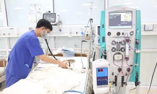 Ảnh minh họa: Internet