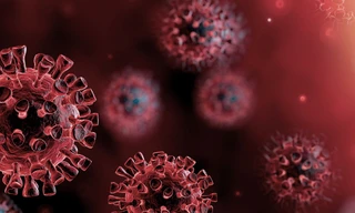 Ảnh minh họa: Internet