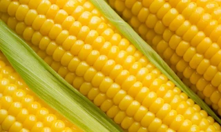 Ảnh minh họa: Internet