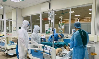 Ảnh minh họa: Internet