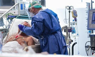 Ảnh minh họa: Internet