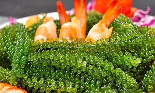 Ảnh minh họa: Internet