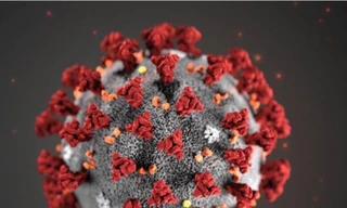 Ảnh minh họa: Internet