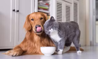 Ảnh minh họa: Internet