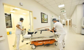 Ảnh minh họa: Internet